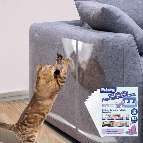 Pack clear cat - pack,